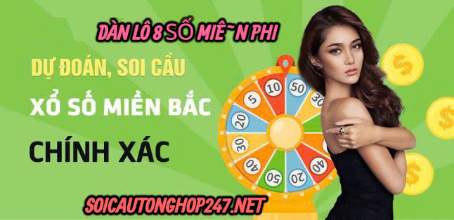 Soi cầu dàn lô 8 số VÍP