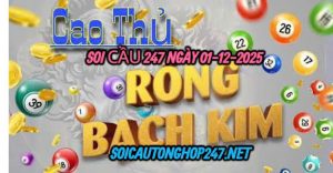 Soi cầu 247 ngày 01-12-2025