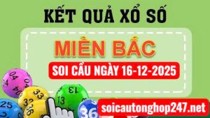 Soi cầu ngày 16-12-2025