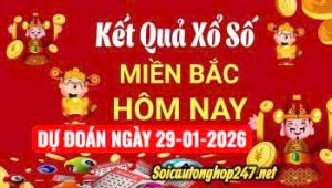 Soi cầu 247 ngày 29-01-2026