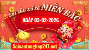 Soi cầu 247 ngày 03-02-2026